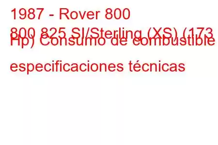 1987 - Rover 800
800 825 SI/Sterling (XS) (173 Hp) Consumo de combustible y especificaciones técnicas