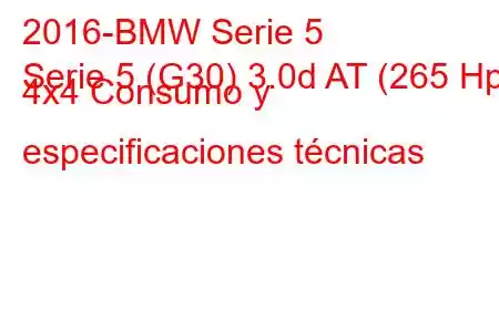 2016-BMW Serie 5
Serie 5 (G30) 3.0d AT (265 Hp) 4x4 Consumo y especificaciones técnicas