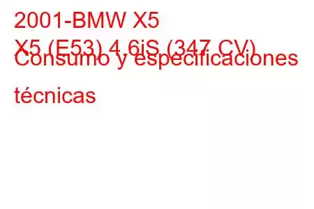 2001-BMW X5
X5 (E53) 4.6iS (347 CV) Consumo y especificaciones técnicas