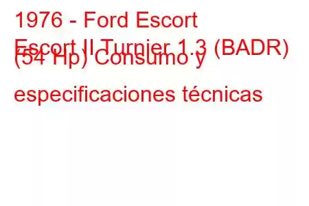 1976 - Ford Escort
Escort II Turnier 1.3 (BADR) (54 Hp) Consumo y especificaciones técnicas