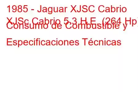 1985 - Jaguar XJSC Cabrio
XJSc Cabrio 5.3 H.E. (264 Hp) Consumo de Combustible y Especificaciones Técnicas