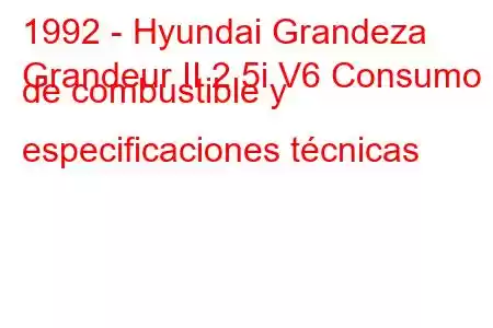 1992 - Hyundai Grandeza
Grandeur II 2.5i V6 Consumo de combustible y especificaciones técnicas