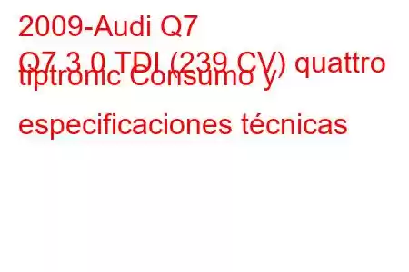 2009-Audi Q7
Q7 3.0 TDI (239 CV) quattro tiptronic Consumo y especificaciones técnicas