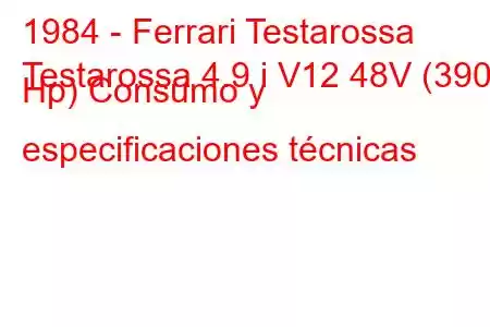 1984 - Ferrari Testarossa
Testarossa 4.9 i V12 48V (390 Hp) Consumo y especificaciones técnicas