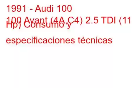 1991 - Audi 100
100 Avant (4A,C4) 2.5 TDI (115 Hp) Consumo y especificaciones técnicas