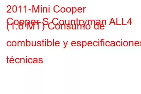 2011-Mini Cooper
Cooper S Countryman ALL4 (1.6 MT) Consumo de combustible y especificaciones técnicas