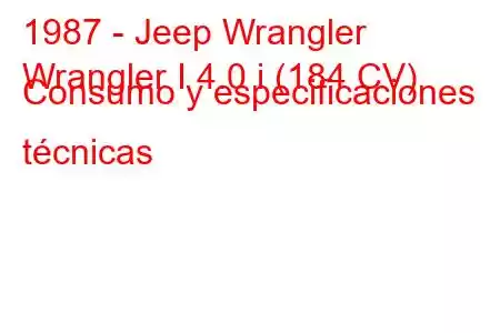 1987 - Jeep Wrangler
Wrangler I 4.0 i (184 CV) Consumo y especificaciones técnicas