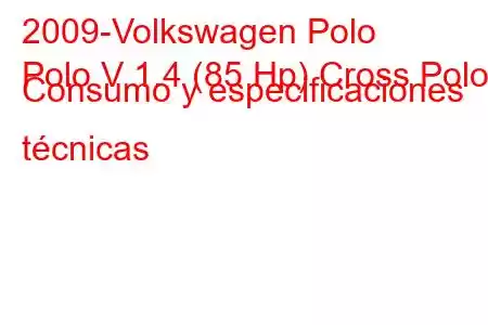 2009-Volkswagen Polo
Polo V 1.4 (85 Hp) Cross Polo Consumo y especificaciones técnicas