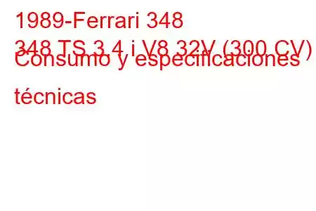 1989-Ferrari 348
348 TS 3.4 i V8 32V (300 CV) Consumo y especificaciones técnicas