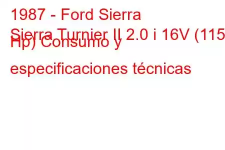 1987 - Ford Sierra
Sierra Turnier II 2.0 i 16V (115 Hp) Consumo y especificaciones técnicas