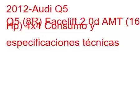 2012-Audi Q5
Q5 (8R) Facelift 2.0d AMT (163 Hp) 4x4 Consumo y especificaciones técnicas