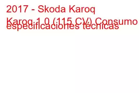 2017 - Skoda Karoq
Karoq 1.0 (115 CV) Consumo y especificaciones técnicas