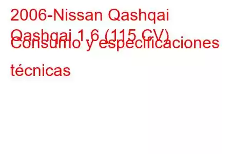 2006-Nissan Qashqai
Qashqai 1.6 (115 CV) Consumo y especificaciones técnicas