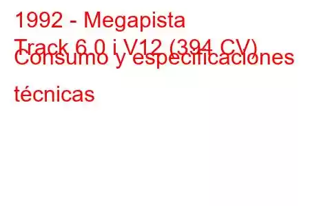 1992 - Megapista
Track 6.0 i V12 (394 CV) Consumo y especificaciones técnicas