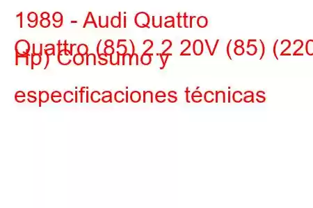 1989 - Audi Quattro
Quattro (85) 2.2 20V (85) (220 Hp) Consumo y especificaciones técnicas