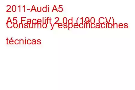 2011-Audi A5
A5 Facelift 2.0d (190 CV) Consumo y especificaciones técnicas