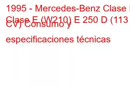 1995 - Mercedes-Benz Clase E
Clase E (W210) E 250 D (113 CV) Consumo y especificaciones técnicas