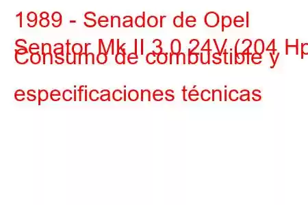 1989 - Senador de Opel
Senator Mk II 3.0 24V (204 Hp) Consumo de combustible y especificaciones técnicas