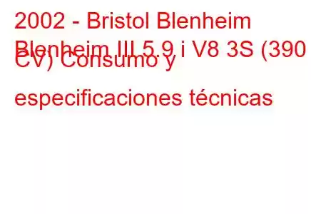 2002 - Bristol Blenheim
Blenheim III 5.9 i V8 3S (390 CV) Consumo y especificaciones técnicas