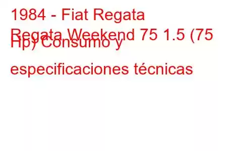 1984 - Fiat Regata
Regata Weekend 75 1.5 (75 Hp) Consumo y especificaciones técnicas