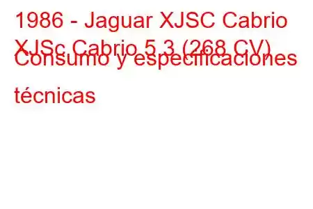 1986 - Jaguar XJSC Cabrio
XJSc Cabrio 5.3 (268 CV) Consumo y especificaciones técnicas