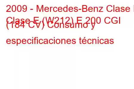 2009 - Mercedes-Benz Clase E
Clase E (W212) E 200 CGI (184 CV) Consumo y especificaciones técnicas