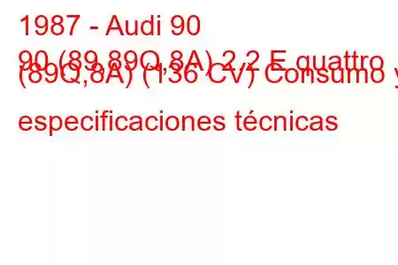 1987 - Audi 90
90 (89,89Q,8A) 2.2 E quattro (89Q,8A) (136 CV) Consumo y especificaciones técnicas