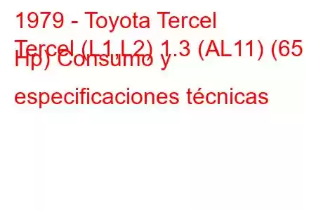 1979 - Toyota Tercel
Tercel (L1,L2) 1.3 (AL11) (65 Hp) Consumo y especificaciones técnicas