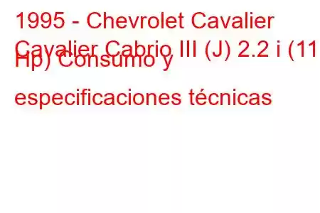 1995 - Chevrolet Cavalier
Cavalier Cabrio III (J) 2.2 i (117 Hp) Consumo y especificaciones técnicas