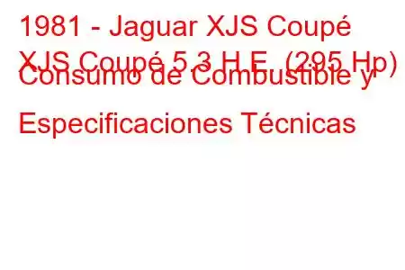 1981 - Jaguar XJS Coupé
XJS Coupé 5.3 H.E. (295 Hp) Consumo de Combustible y Especificaciones Técnicas