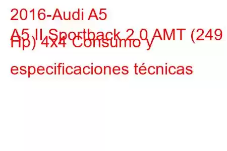 2016-Audi A5
A5 II Sportback 2.0 AMT (249 Hp) 4x4 Consumo y especificaciones técnicas