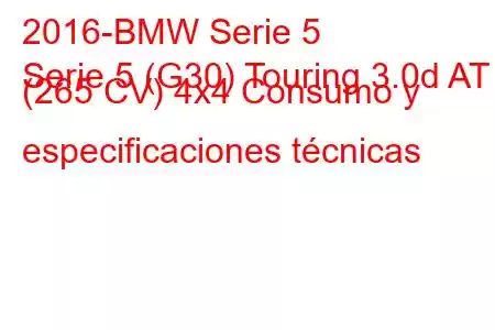 2016-BMW Serie 5
Serie 5 (G30) Touring 3.0d AT (265 CV) 4x4 Consumo y especificaciones técnicas