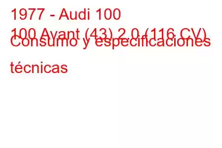 1977 - Audi 100
100 Avant (43) 2.0 (116 CV) Consumo y especificaciones técnicas