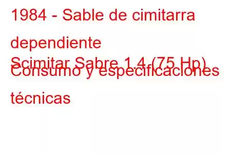 1984 - Sable de cimitarra dependiente
Scimitar Sabre 1.4 (75 Hp) Consumo y especificaciones técnicas