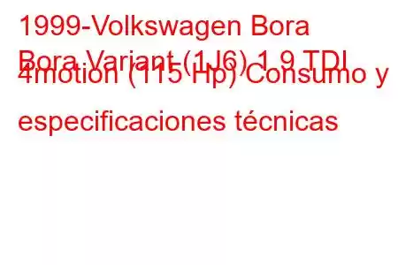 1999-Volkswagen Bora
Bora Variant (1J6) 1.9 TDI 4motion (115 Hp) Consumo y especificaciones técnicas