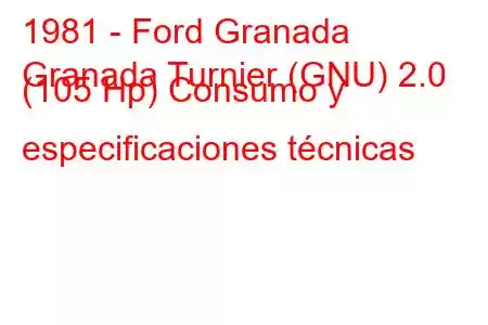 1981 - Ford Granada
Granada Turnier (GNU) 2.0 (105 Hp) Consumo y especificaciones técnicas