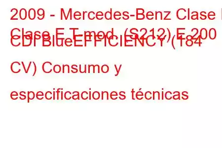 2009 - Mercedes-Benz Clase E
Clase E T-mod. (S212) E 200 CDI BlueEFFICIENCY (184 CV) Consumo y especificaciones técnicas