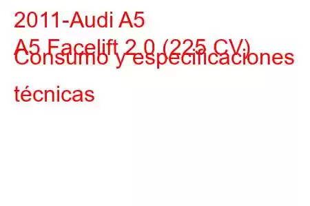 2011-Audi A5
A5 Facelift 2.0 (225 CV) Consumo y especificaciones técnicas