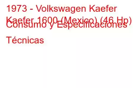 1973 - Volkswagen Kaefer
Kaefer 1600 (Mexico) (46 Hp) Consumo y Especificaciones Técnicas