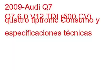 2009-Audi Q7
Q7 6.0 V12 TDI (500 CV) quattro tiptronic Consumo y especificaciones técnicas