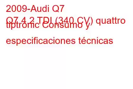 2009-Audi Q7
Q7 4.2 TDI (340 CV) quattro tiptronic Consumo y especificaciones técnicas