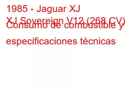 1985 - Jaguar XJ
XJ Sovereign V12 (268 CV) Consumo de combustible y especificaciones técnicas