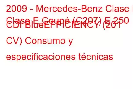 2009 - Mercedes-Benz Clase E
Clase E Coupé (C207) E 250 CDI BlueEFFICIENCY (201 CV) Consumo y especificaciones técnicas