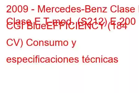 2009 - Mercedes-Benz Clase E
Clase E T-mod. (S212) E 200 CGI BlueEFFICIENCY (184 CV) Consumo y especificaciones técnicas