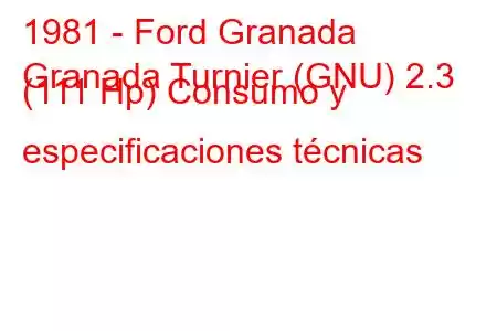 1981 - Ford Granada
Granada Turnier (GNU) 2.3 (111 Hp) Consumo y especificaciones técnicas