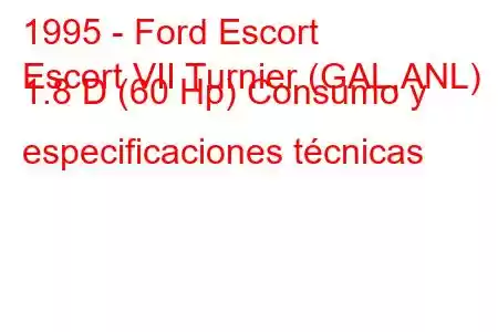 1995 - Ford Escort
Escort VII Turnier (GAL,ANL) 1.8 D (60 Hp) Consumo y especificaciones técnicas