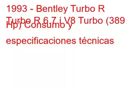 1993 - Bentley Turbo R
Turbo R 6.7 i V8 Turbo (389 Hp) Consumo y especificaciones técnicas