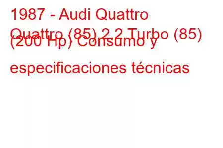 1987 - Audi Quattro
Quattro (85) 2.2 Turbo (85) (200 Hp) Consumo y especificaciones técnicas