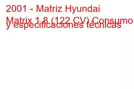 2001 - Matriz Hyundai
Matrix 1.8 (122 CV) Consumo y especificaciones técnicas