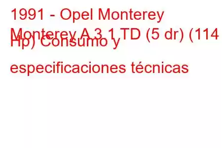 1991 - Opel Monterey
Monterey A 3.1 TD (5 dr) (114 Hp) Consumo y especificaciones técnicas